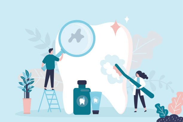 Best Dental Bonding  in Burley, ID